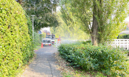 Hekwerk bruggen in Zuid krijgen schoonmaakbeurt