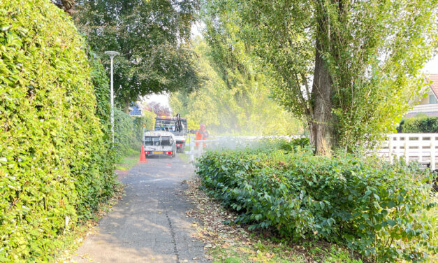 Hekwerk bruggen in Zuid krijgen schoonmaakbeurt