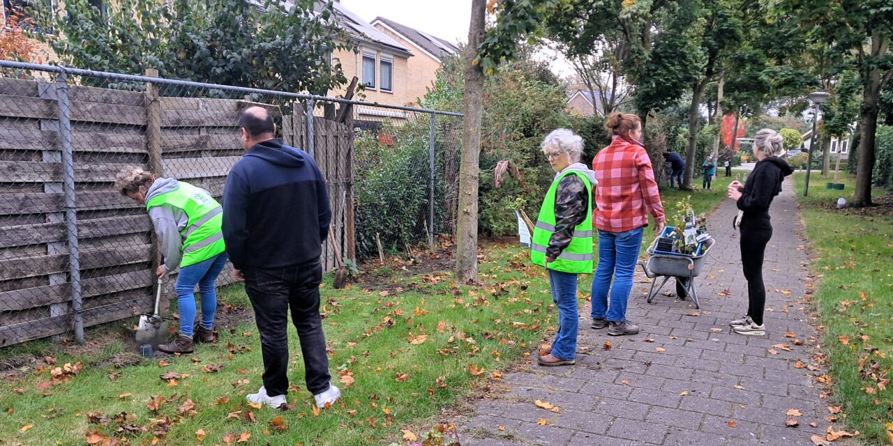 Schutting vergroenen aan de Sparrenlaan