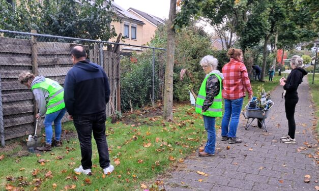 Schutting vergroenen aan de Sparrenlaan
