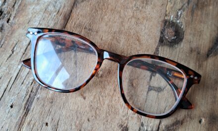 bril gevonden langs de belevingsroute in het bos