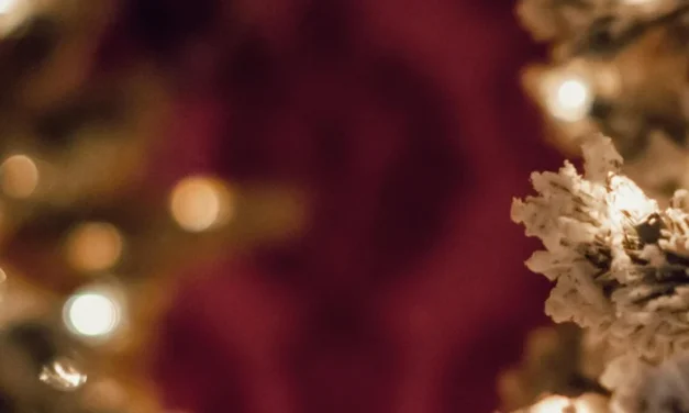 Eindejaarspakketten – Hersteld Hervormde Gemeente Hasselt-Rouveen-Zwolle