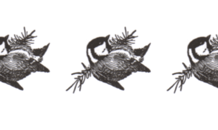 Ledencontactavond – NATUURBESCHERMINGSVERENIGING “IJHORST-STAPHORST E.O.” Natuurbeschermingsvereniging.nl