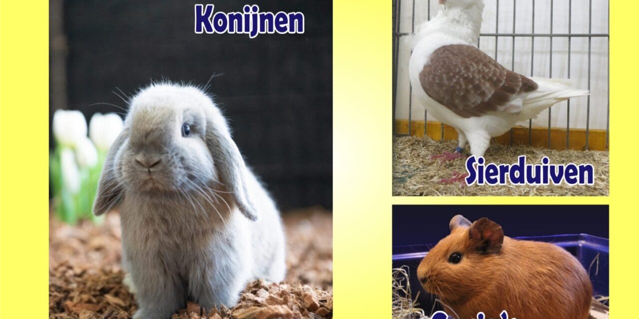 Liefde voor dieren