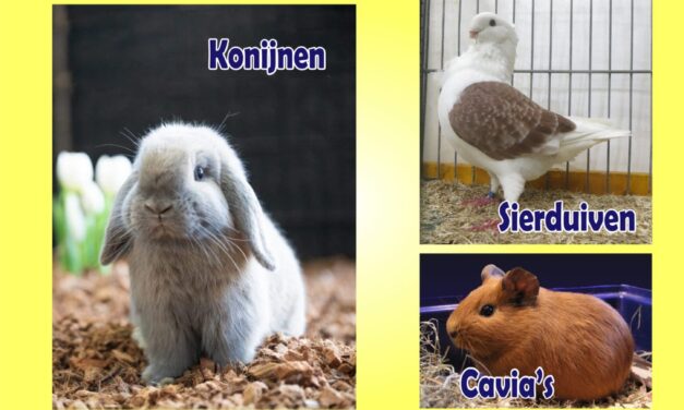 Liefde voor dieren