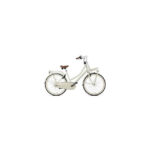 Wie mist een Gazelle Esprit (transport)fiets?