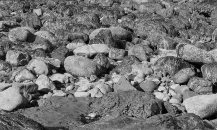 Jongerenavond met Stef Heerema – Hunebedden en Zondvloed