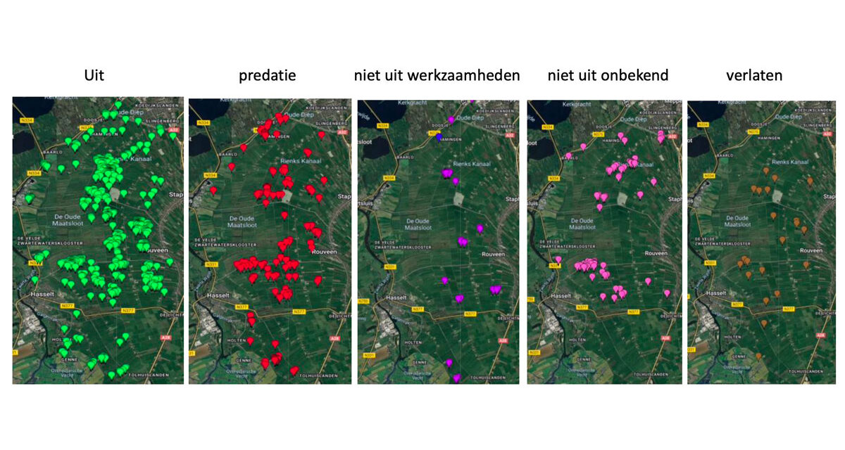 Resultaten en analyse weidevogelseizoen Staphorsterveld e.o. 2025