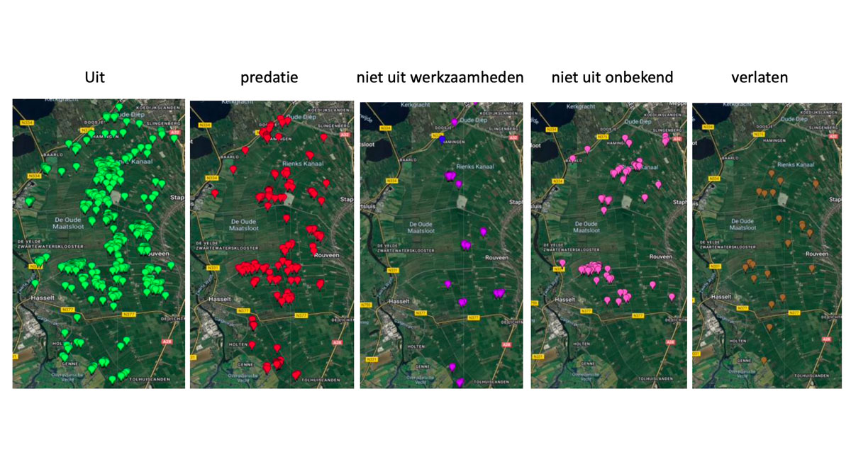 Resultaten en analyse weidevogelseizoen Staphorsterveld e.o. 2025