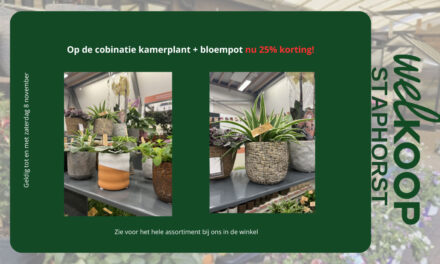 Acties bij Welkoop Staphorst