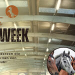 Kampweek 2025 Ponyclub VVV Rouveen e.o.