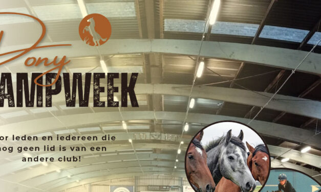 Kampweek 2025 Ponyclub VVV Rouveen e.o.