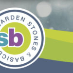 Kerstbomen – Ze zijn er weer!