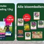 Acties bij Welkoop Staphorst