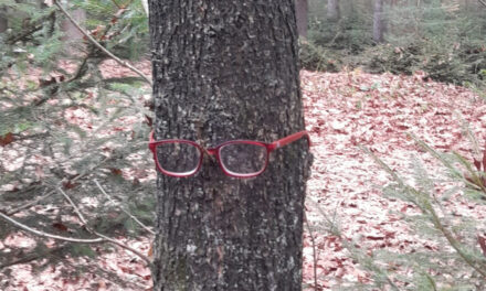 Nieuw: boom met (jouw) bril?