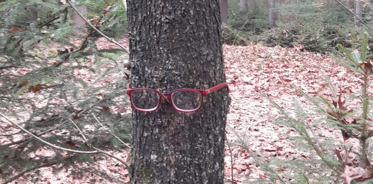 Nieuw: boom met (jouw) bril?
