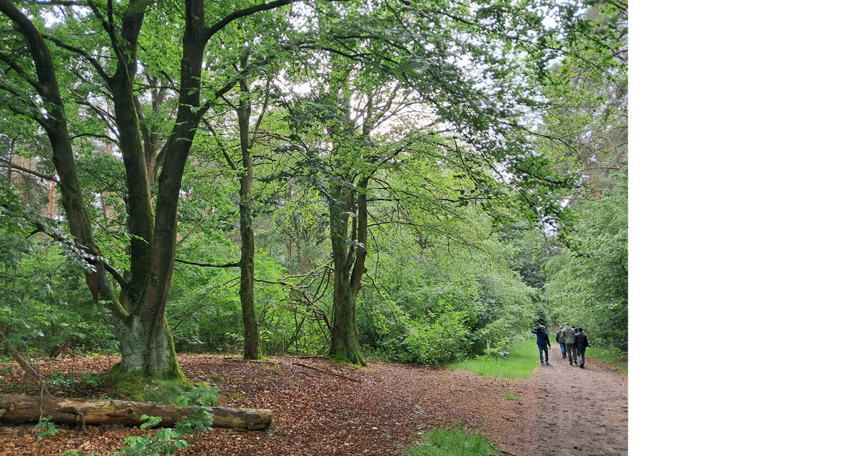 Alternatieve locaties munitiedepot beter voor natuur, boeren en omgeving