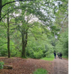 Alternatieve locaties munitiedepot beter voor natuur, boeren en omgeving