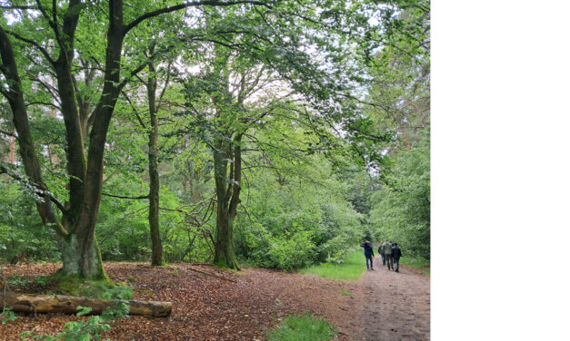 Alternatieve locaties munitiedepot beter voor natuur, boeren en omgeving