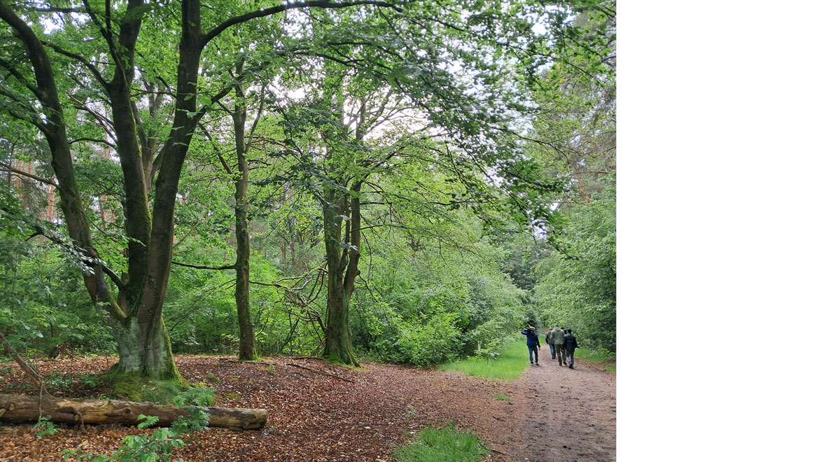 Alternatieve locaties munitiedepot beter voor natuur, boeren en omgeving
