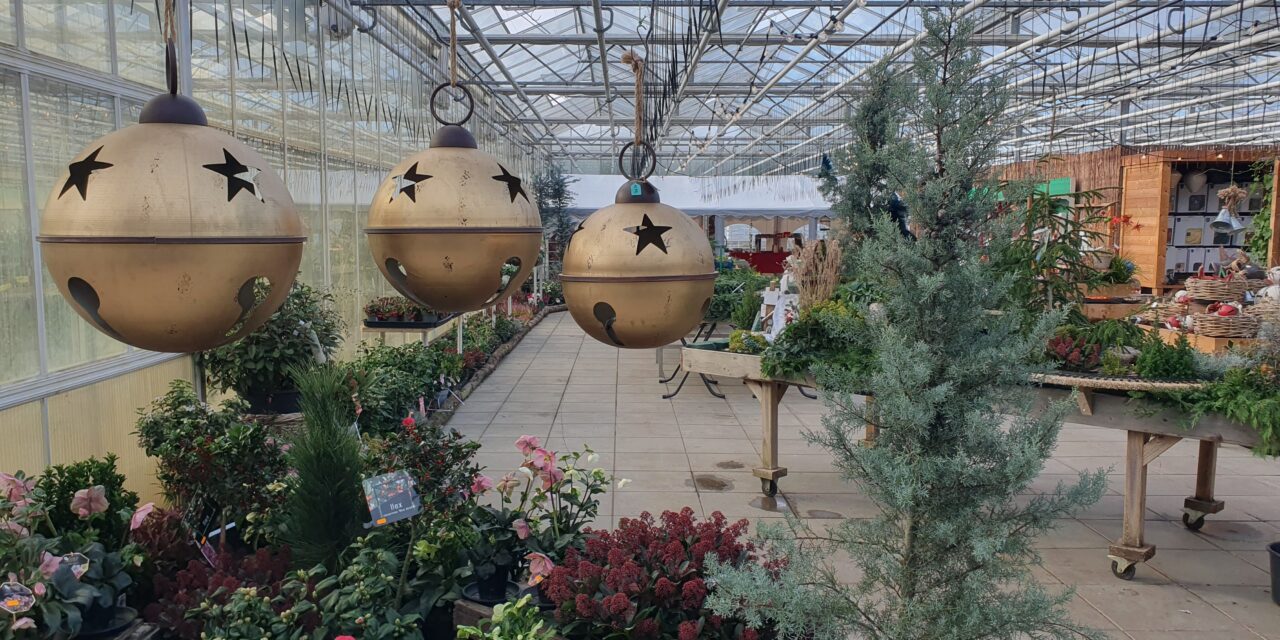 Kwekerij Onderdijk in kerstsferen