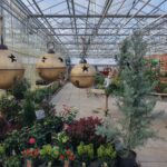 Kwekerij Onderdijk in kerstsferen