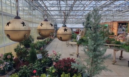 Kwekerij Onderdijk in kerstsferen