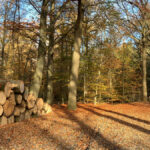 Herfst 2025 in foto’s