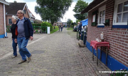 Nieuwe bestrating in Museumsteeg