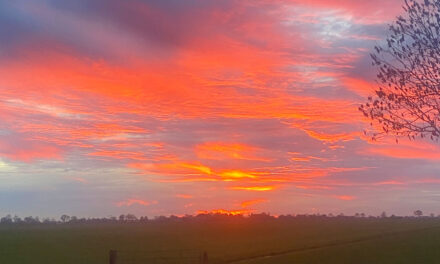 Té mooi om er geen kiekje van te maken..