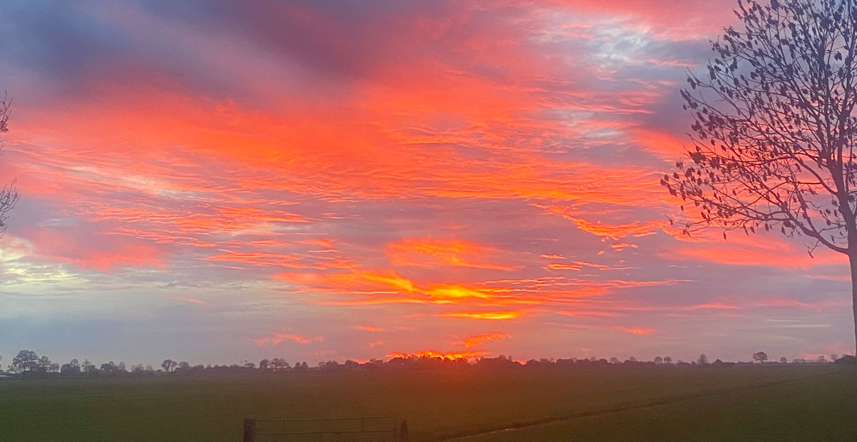 Té mooi om er geen kiekje van te maken..