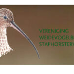 Vrijwilligers  gezocht voor de Weidevogelbescherming Staphorsterveld!