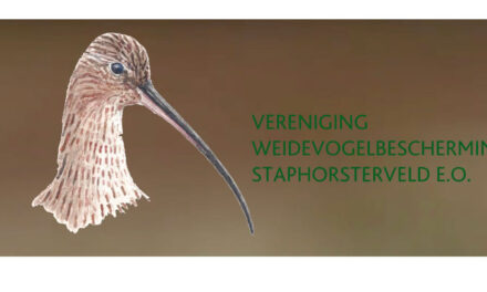 Vrijwilligers  gezocht voor de Weidevogelbescherming Staphorsterveld!