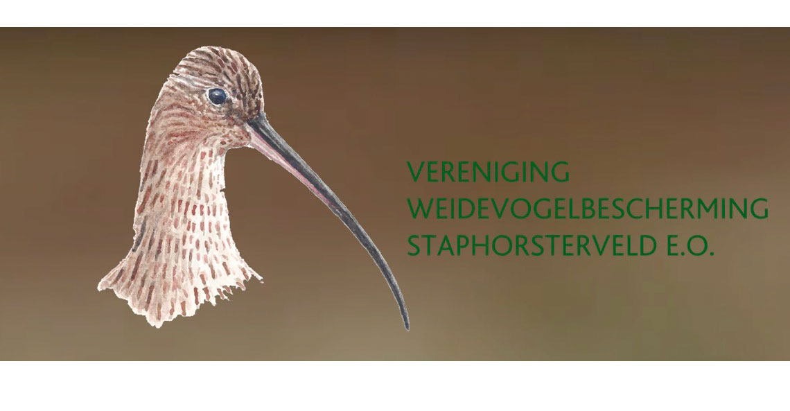 Vrijwilligers  gezocht voor de Weidevogelbescherming Staphorsterveld!