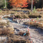 Onderhoud MTB route Staphorster bos