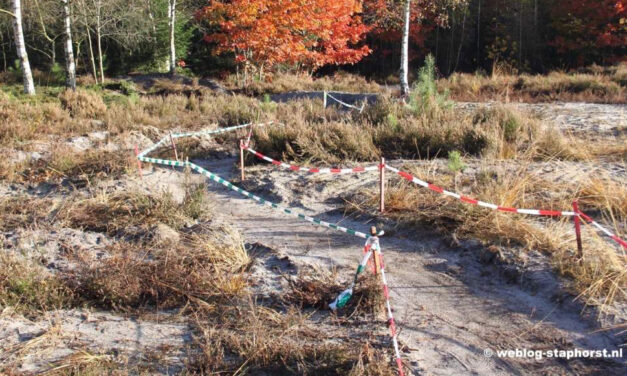 Onderhoud MTB route Staphorster bos
