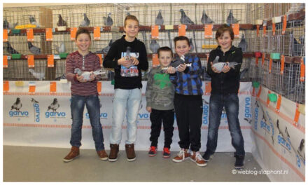 Postduivententoonstelling zonder postduiven