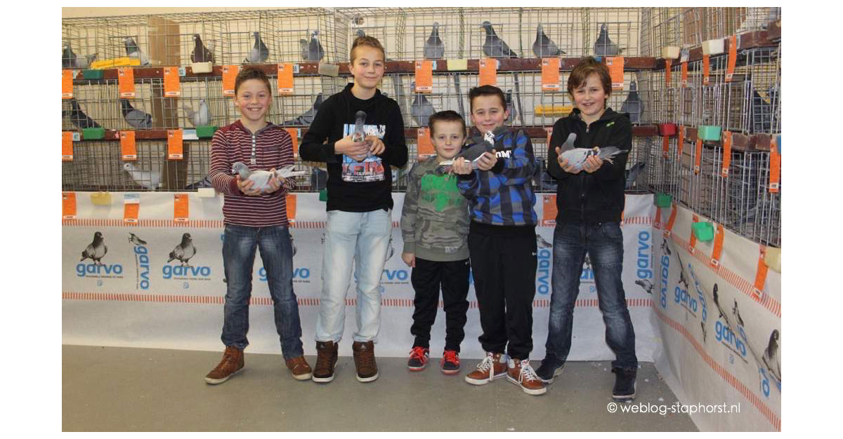 Postduivententoonstelling zonder postduiven