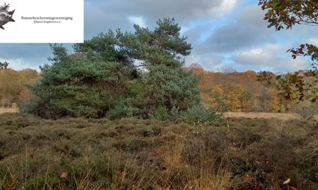 Interactieve excursie voor kinderen op de heide