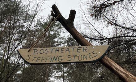 Nieuw in staatsbos Staphorst: Bostheater