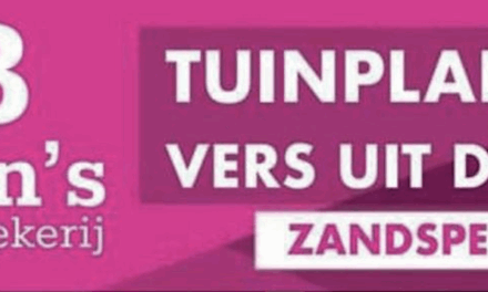 AB anton’s bloemkwekerij – TUINPLANTEN VERS UIT DE KAS