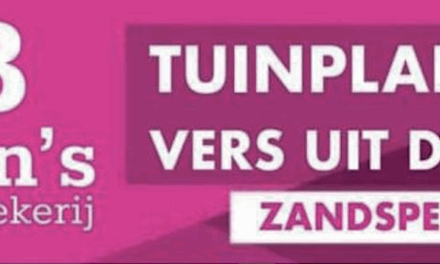 AB anton’s bloemkwekerij – TUINPLANTEN VERS UIT DE KAS