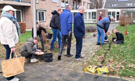 Bollen planten op De Berghorst