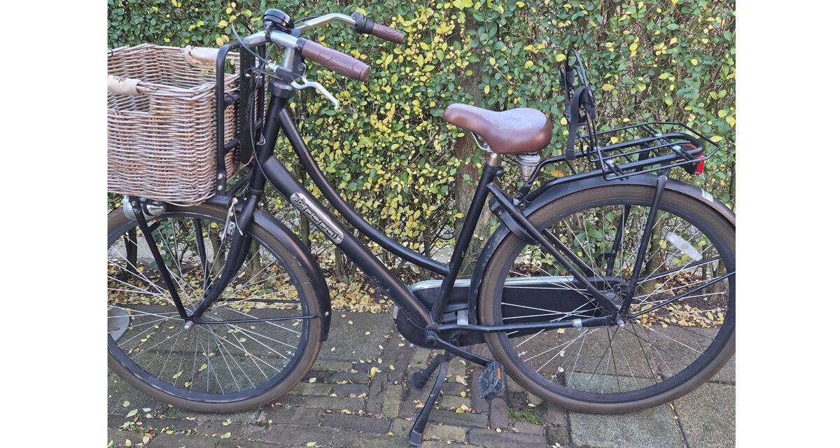 Wie mist deze fiets?