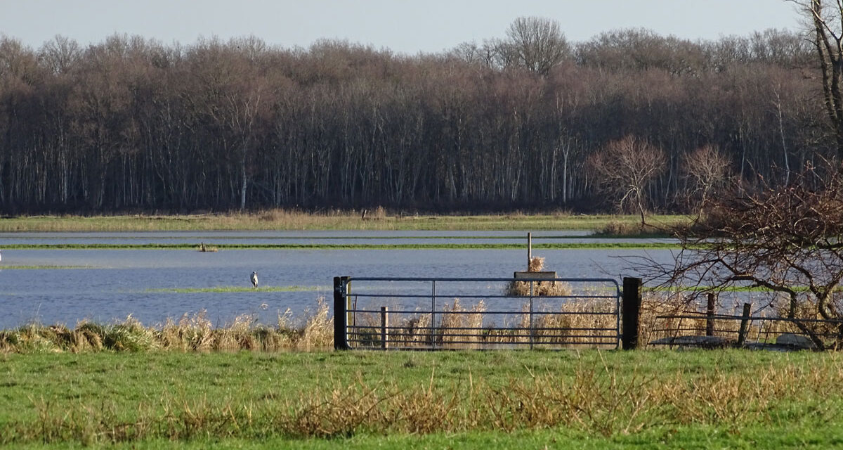 5 januari 1e bijeenkomst Natuurbeschermingsvereniging IJhorst Staphorst eo 2026