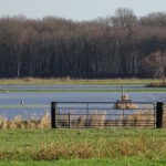 5 januari 1e bijeenkomst Natuurbeschermingsvereniging IJhorst Staphorst eo 2026
