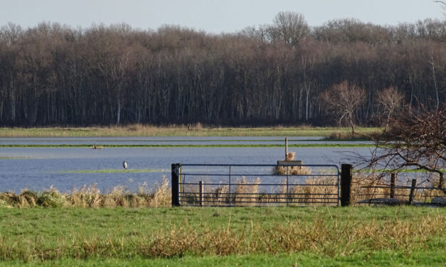 5 januari 1e bijeenkomst Natuurbeschermingsvereniging IJhorst Staphorst eo 2026