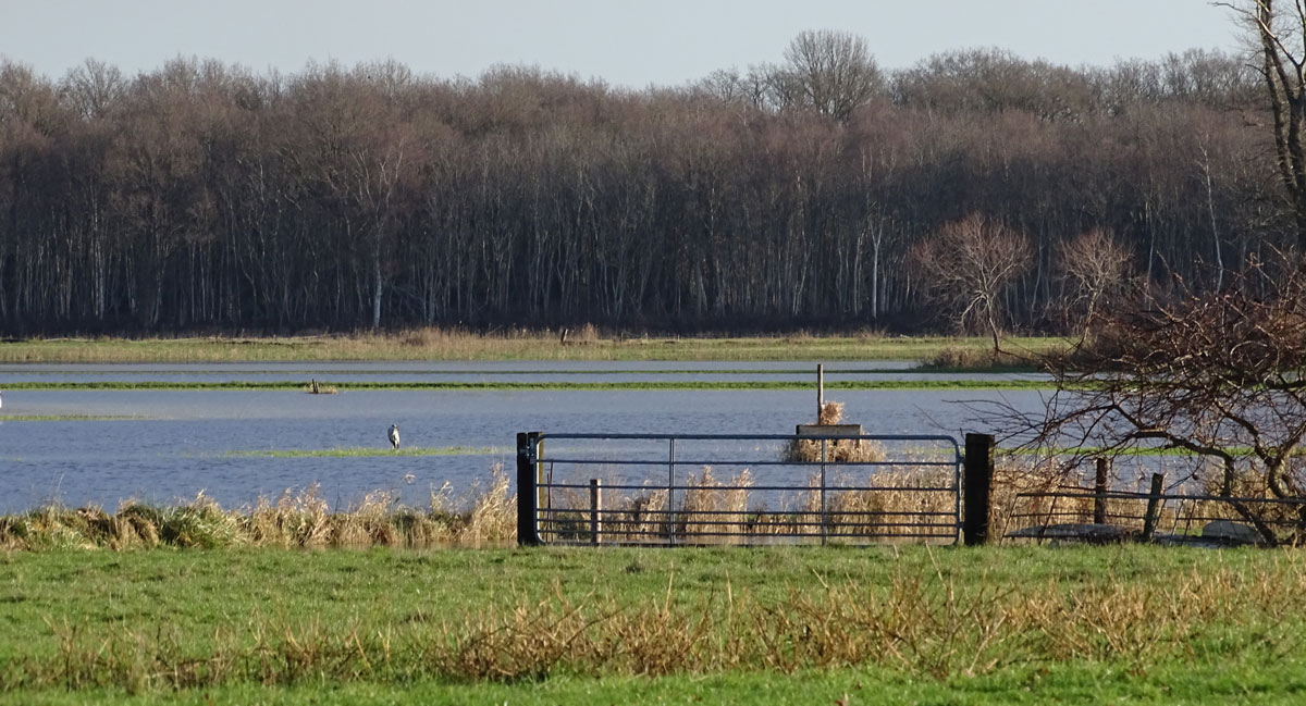 5 januari 1e bijeenkomst Natuurbeschermingsvereniging IJhorst Staphorst eo 2026