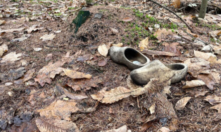 Klompen zoeken eigenaar
