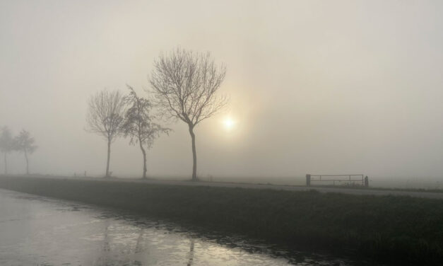 Winterse Zondag in Rouveen